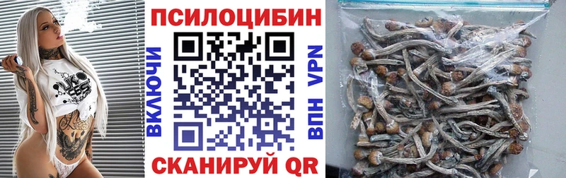 Псилоцибиновые грибы мицелий  Чердынь 
